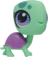 #3301 Turtle